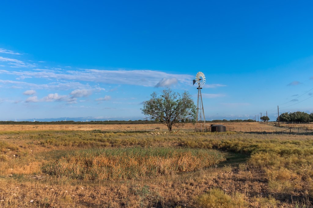 Land, Eden, Texas image 12