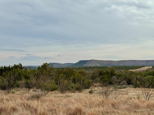 537 LONE MILLS RD, ROBERT LEE, TX 76945 - Image 49be355b3cc37832376f616d28ffc6c1/3995620522