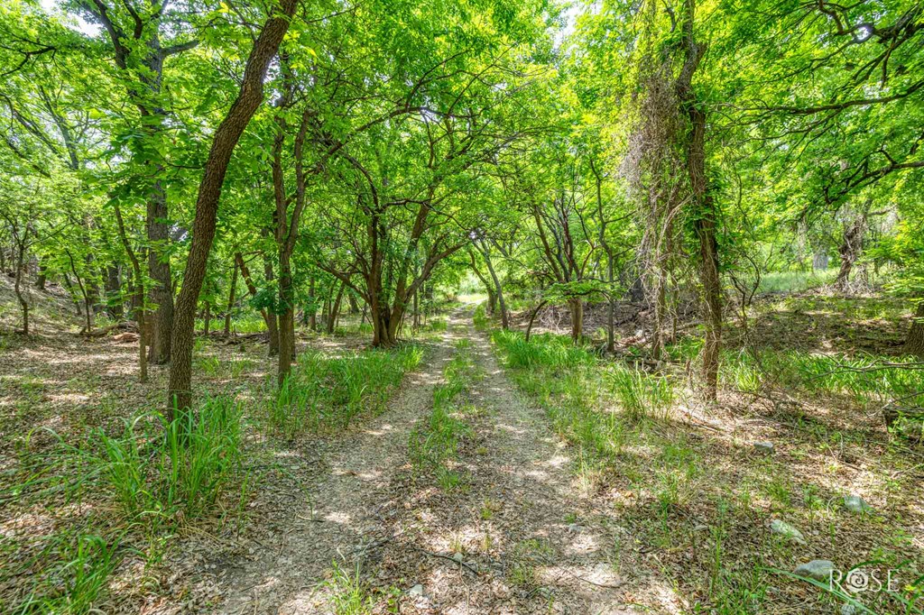 18485 S Hwy 277, Christoval, Texas image 13