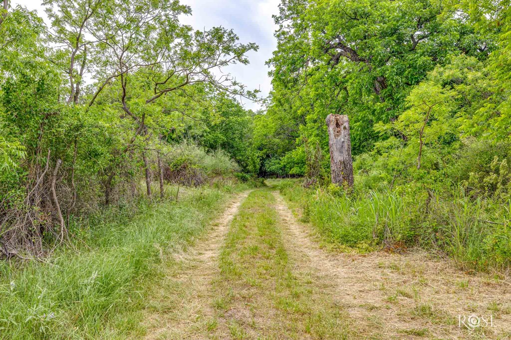18485 S Hwy 277, Christoval, Texas image 49