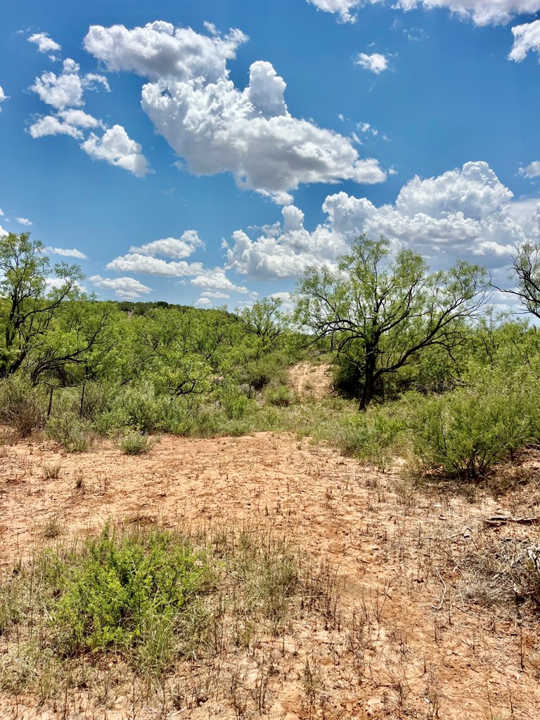 TBD Juniper Rd, Bronte, Texas image 6