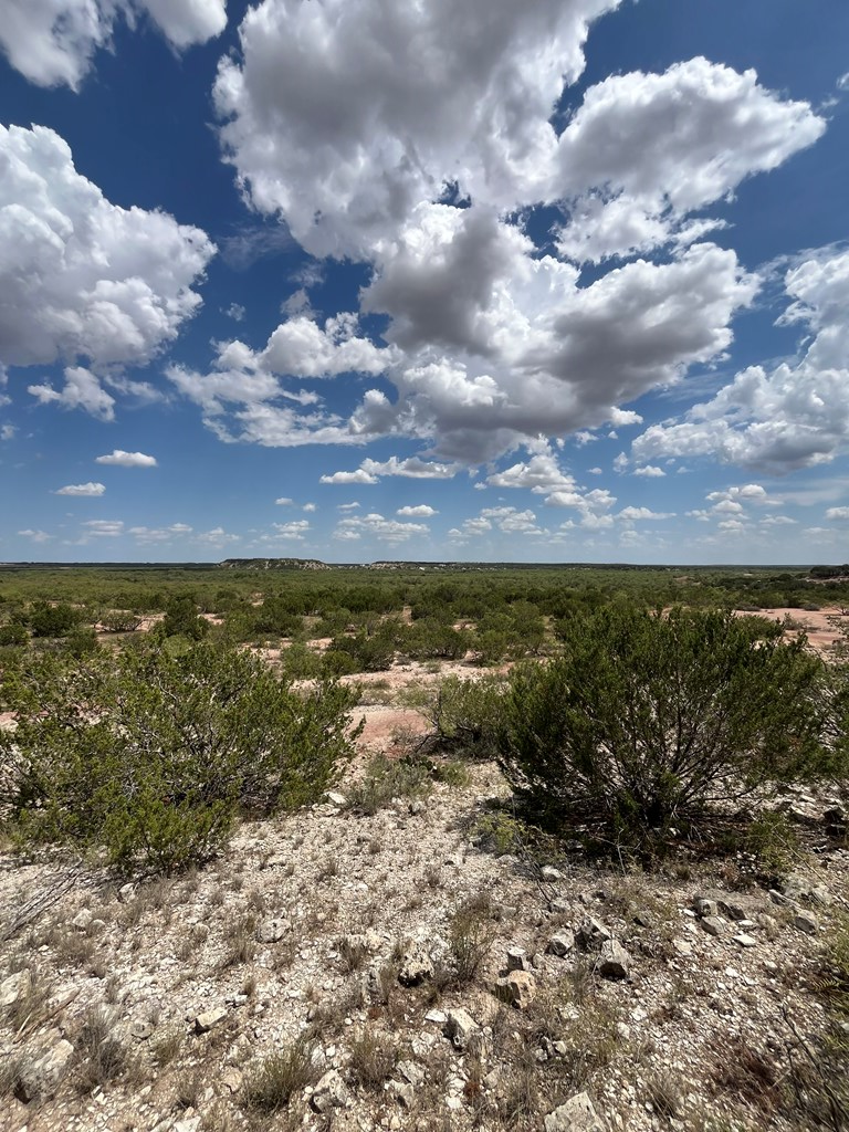 TBD Juniper Rd, Bronte, Texas image 10