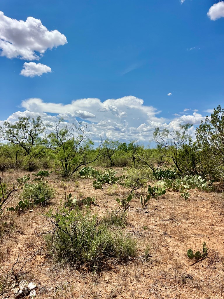 TBD Juniper Rd, Bronte, Texas image 3