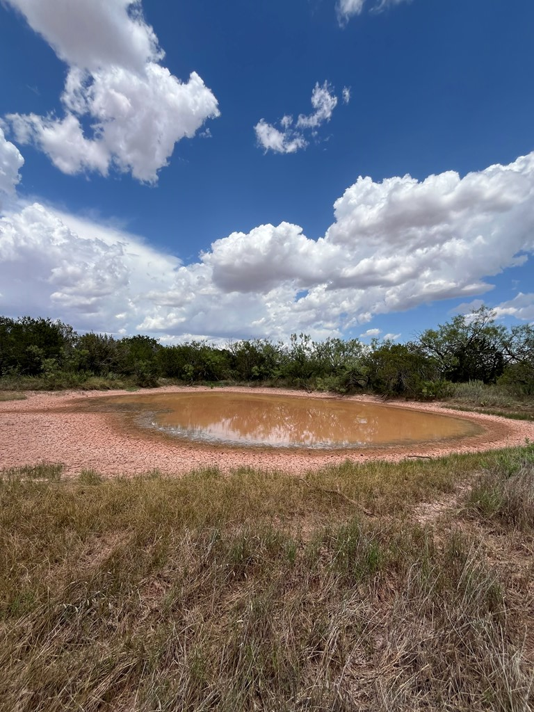 TBD Juniper Rd, Bronte, Texas image 9