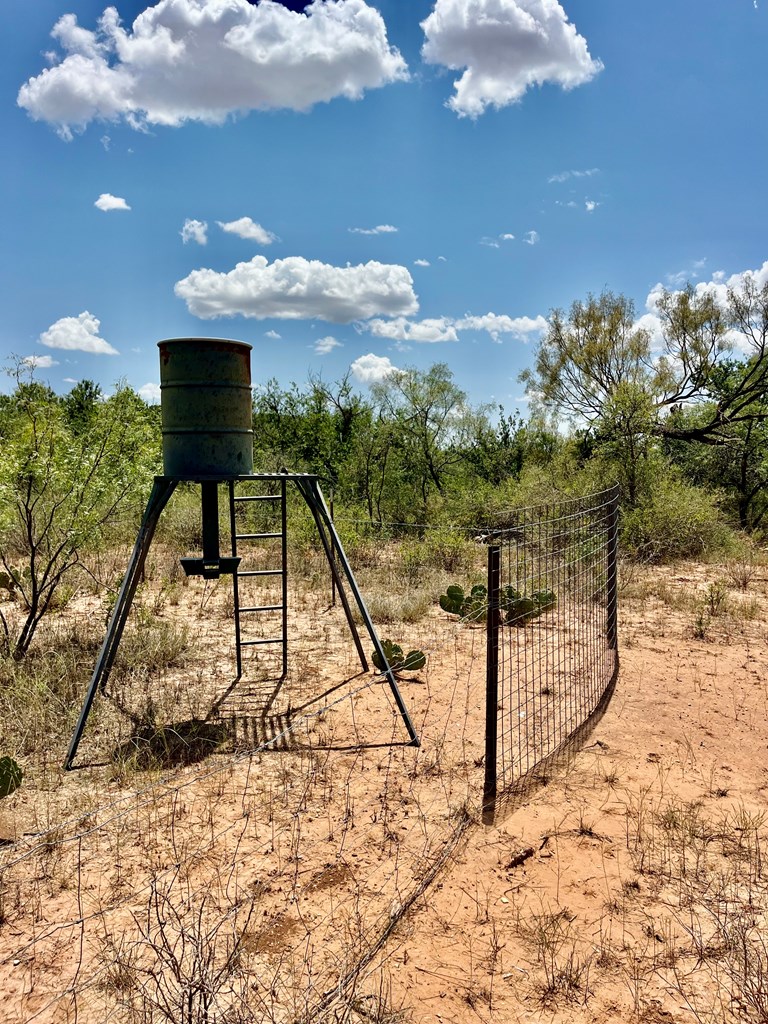 TBD Juniper Rd, Bronte, Texas image 4