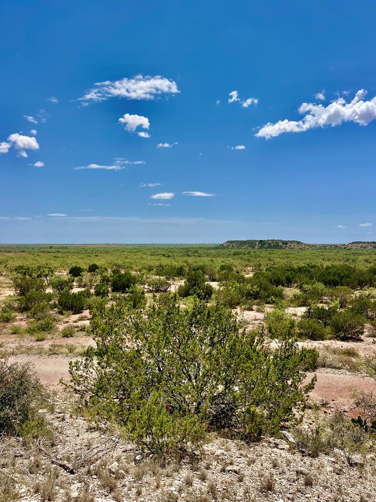 TBD Juniper Rd, Bronte, Texas image 1