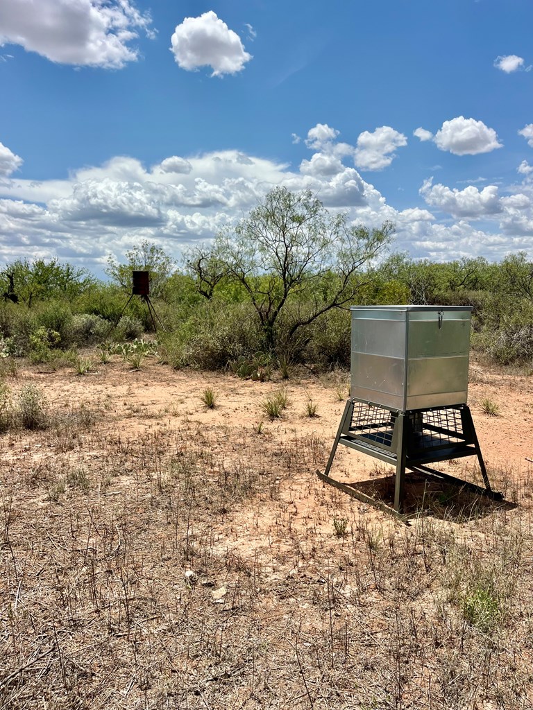 TBD Juniper Rd, Bronte, Texas image 5