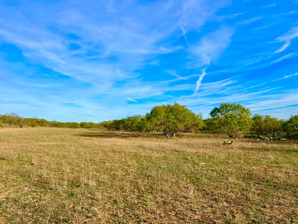 Land, Coleman, Texas image 13