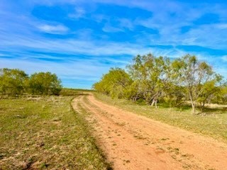 Land, Coleman, Texas image 16