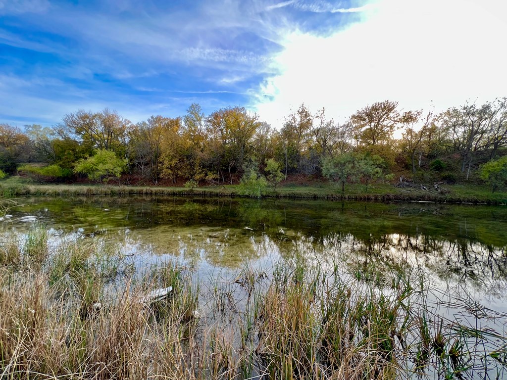 Land, Coleman, Texas image 4