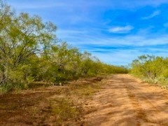 Land, Coleman, Texas image 17