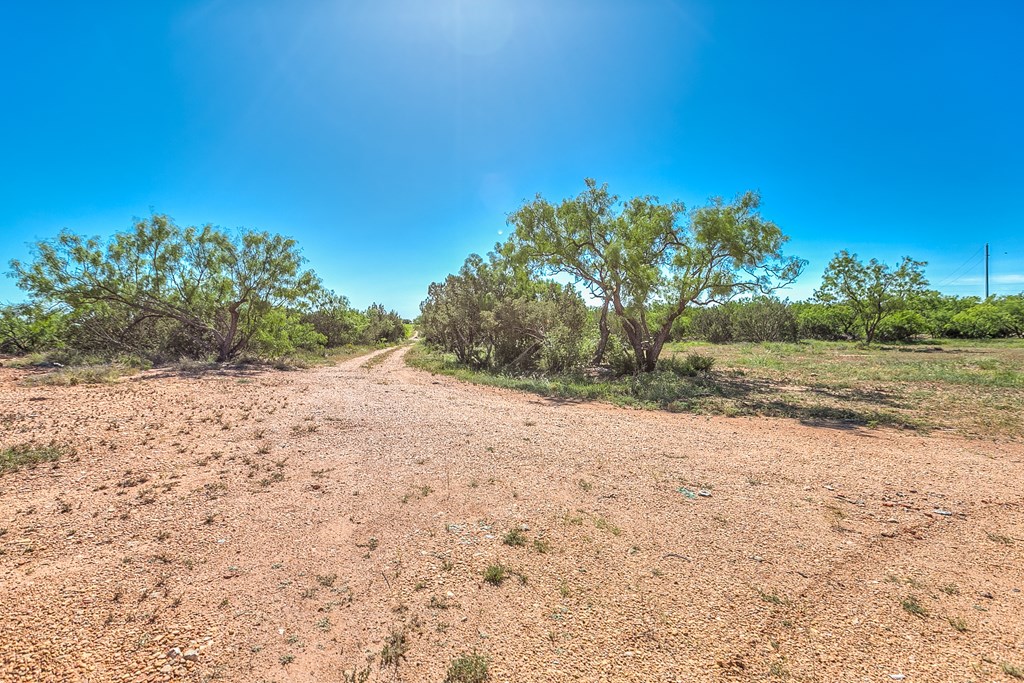 5001 Fm 2333, Bronte, Texas image 44