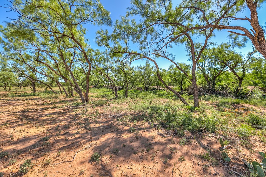 5001 Fm 2333, Bronte, Texas image 41