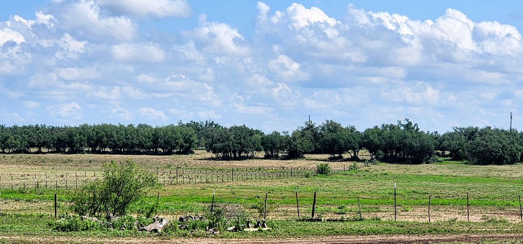 9286 County Road 2335, Eden, Texas image 5