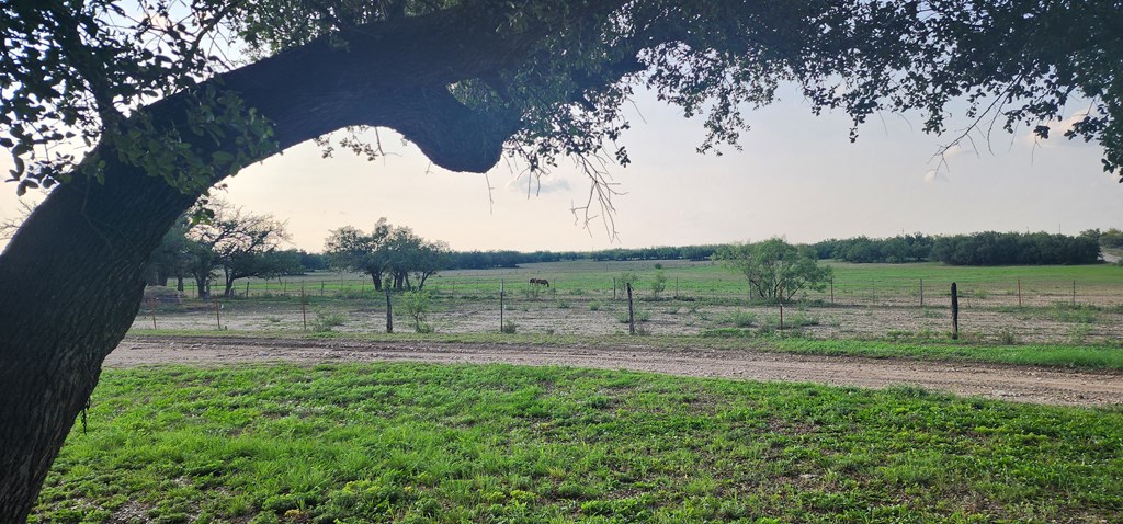 9286 County Road 2335, Eden, Texas image 42