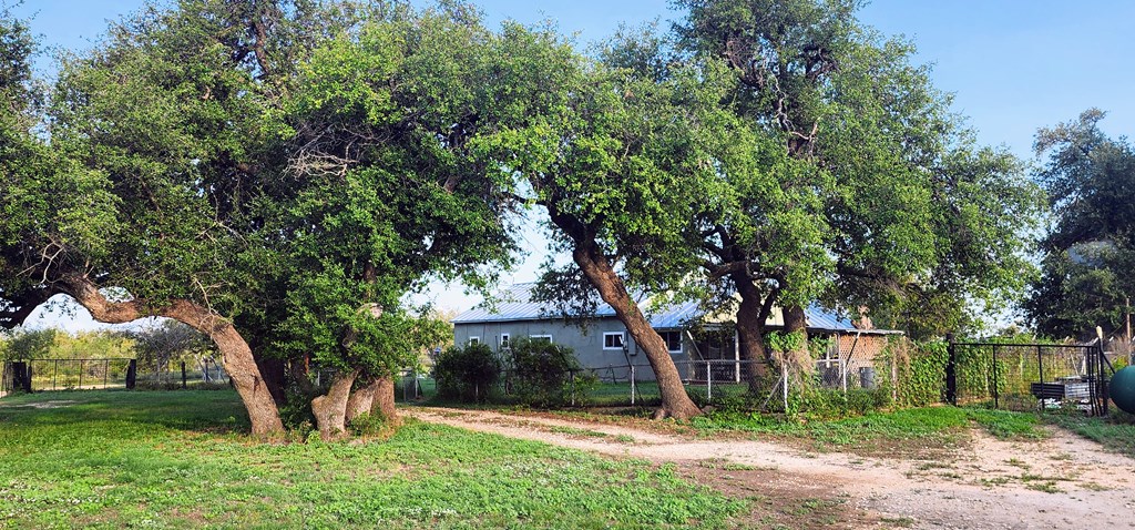 9286 County Road 2335, Eden, Texas image 7