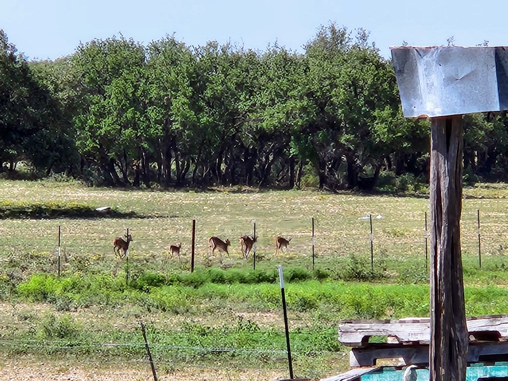 9286 County Road 2335, Eden, Texas image 27