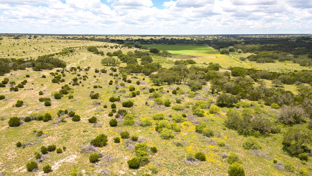 24824 County Rd 900, RockSprings, Texas image 3