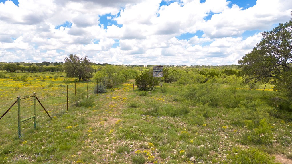 24824 County Rd 900, RockSprings, Texas image 10