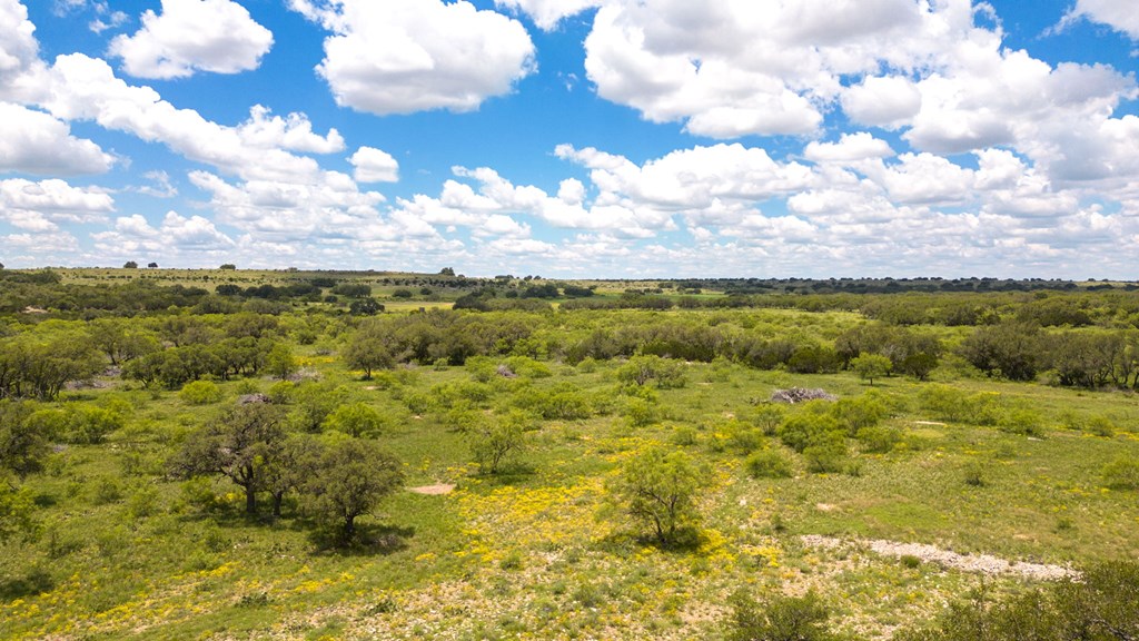 24824 County Rd 900, RockSprings, Texas image 5