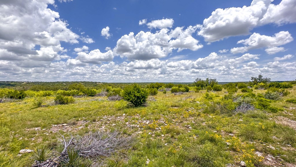 24824 County Rd 900, RockSprings, Texas image 20