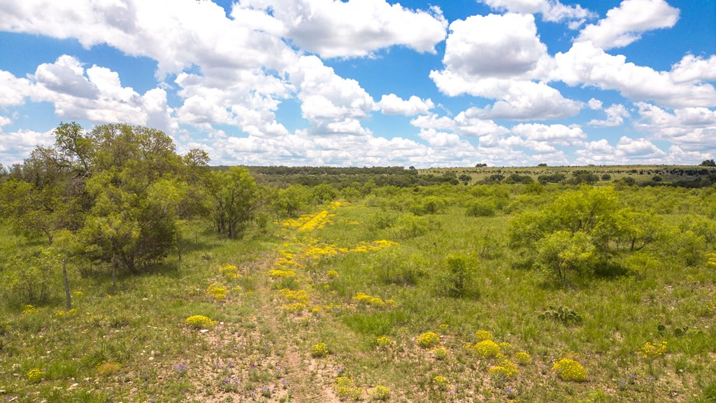 24824 County Rd 900, RockSprings, Texas image 12