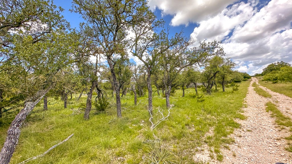 24824 County Rd 900, RockSprings, Texas image 16