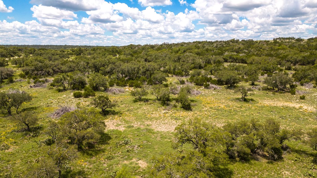 24824 County Rd 900, RockSprings, Texas image 34