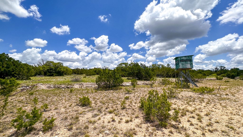 24824 County Rd 900, RockSprings, Texas image 33