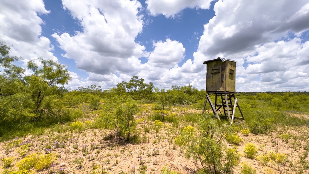 24824 County Rd 900, RockSprings, Texas image 4