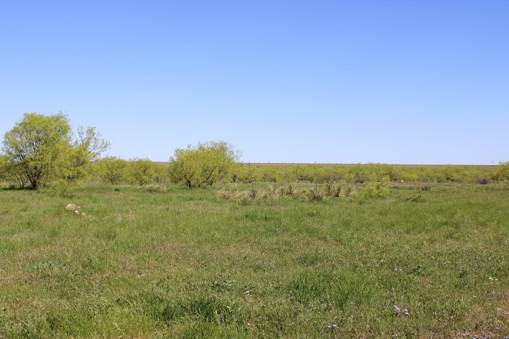 Hwy 67, Ballinger, Texas image 2