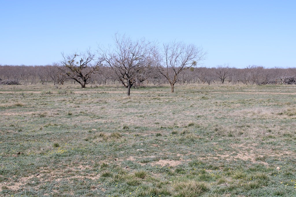 Hwy 67, Ballinger, Texas image 12