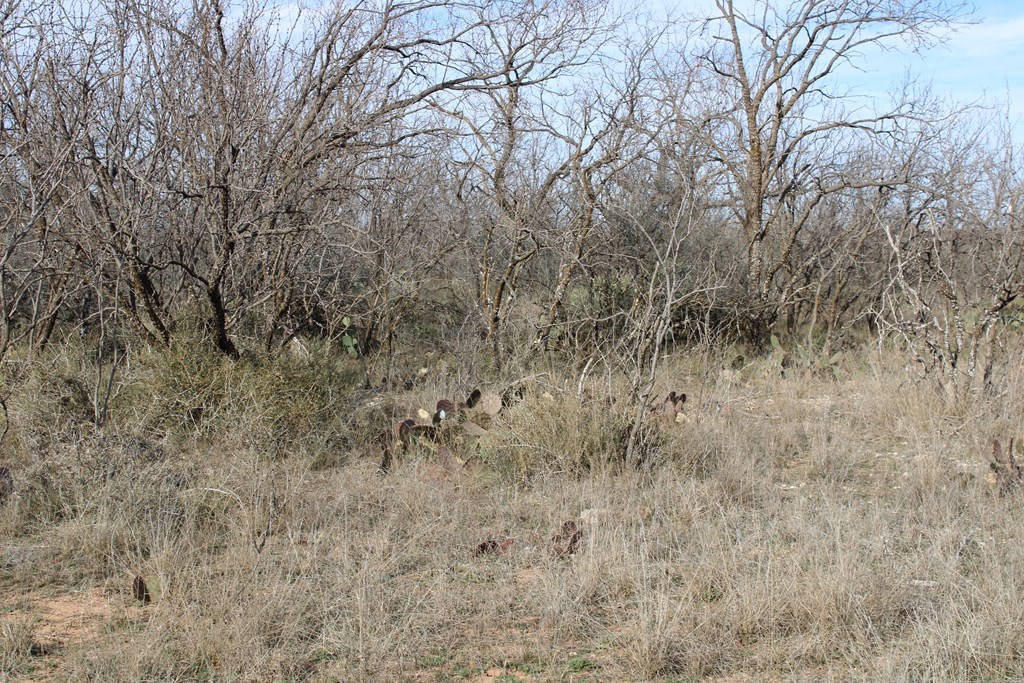 Hwy 67, Ballinger, Texas image 18