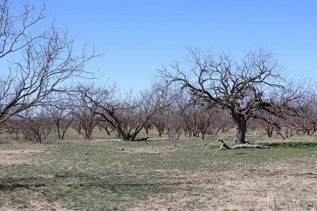 Hwy 67, Ballinger, Texas image 5