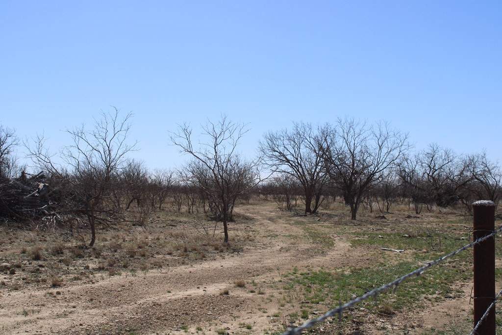 Hwy 67, Ballinger, Texas image 13