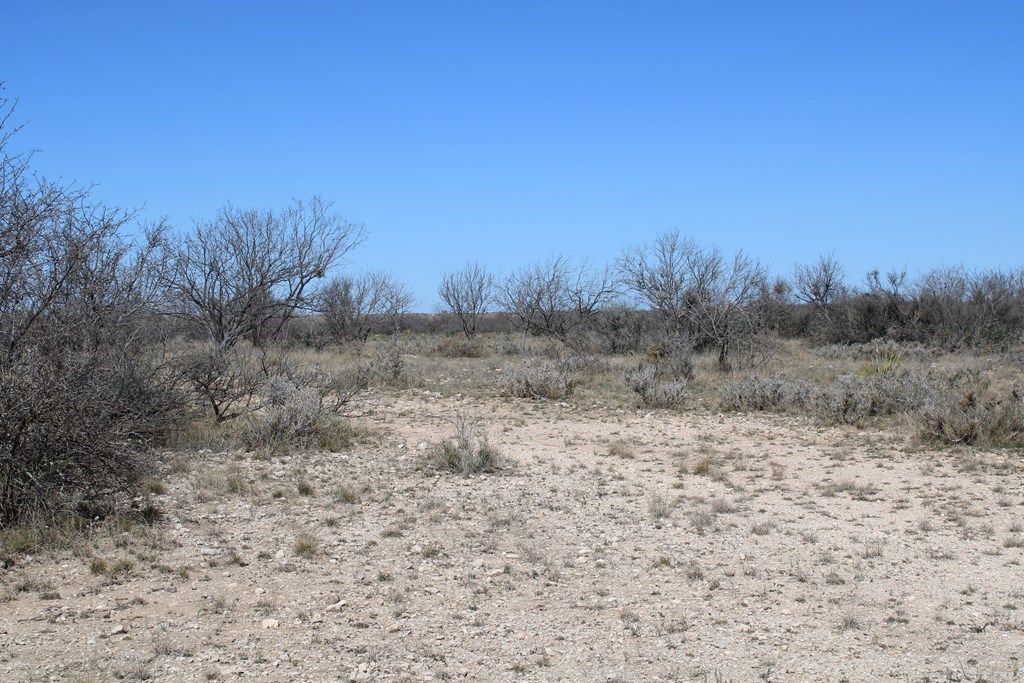 Hwy 67, Ballinger, Texas image 8