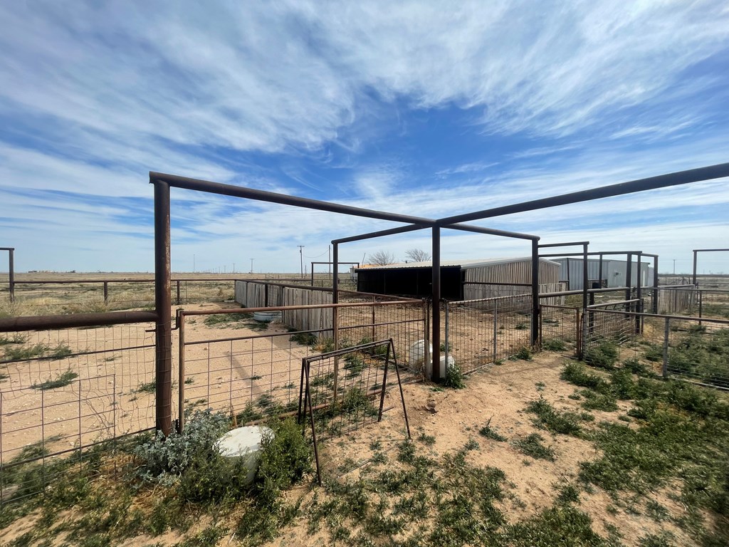 0000 County Rd 113, Rankin, Texas image 8