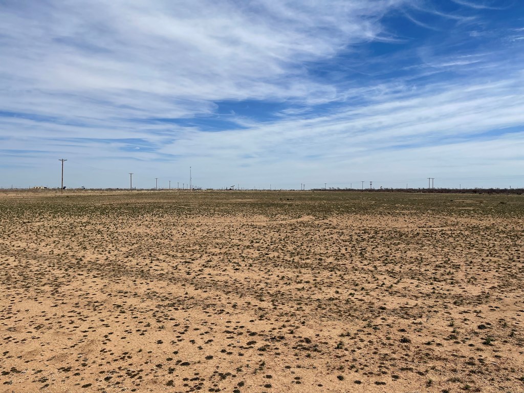 0000 County Rd 113, Rankin, Texas image 16
