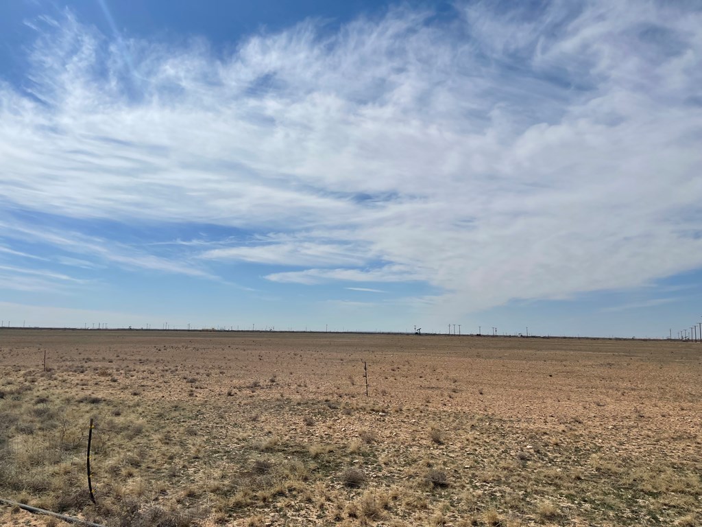 0000 County Rd 113, Rankin, Texas image 21