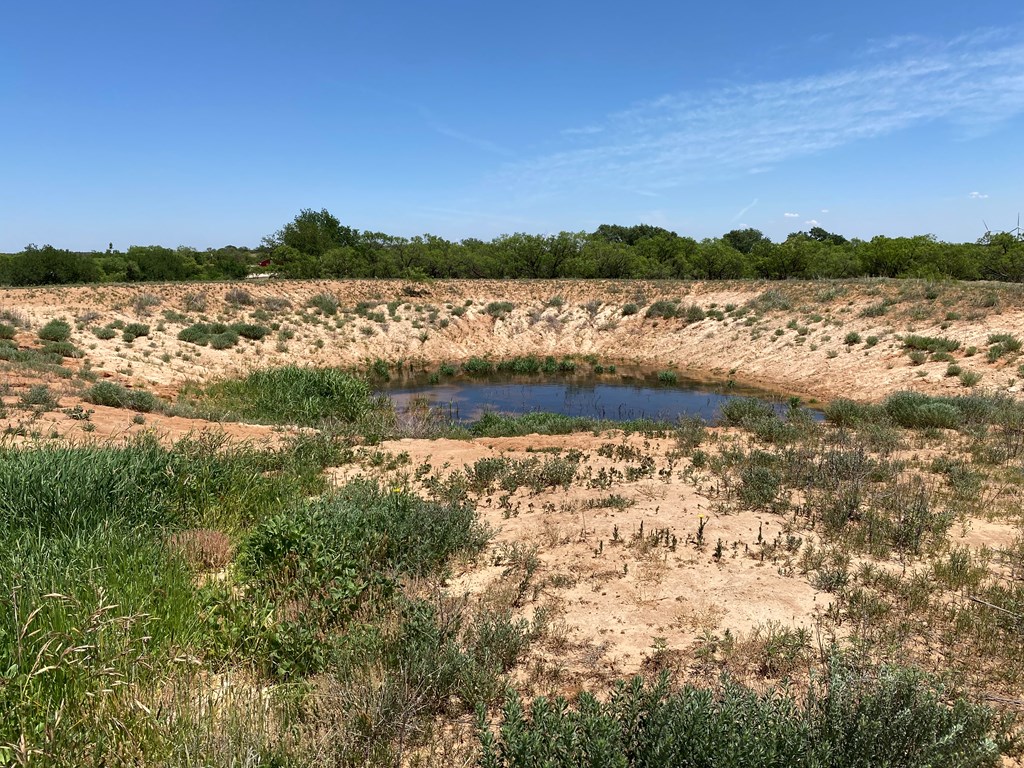 0000 Fm 669, Big Spring, Texas image 11