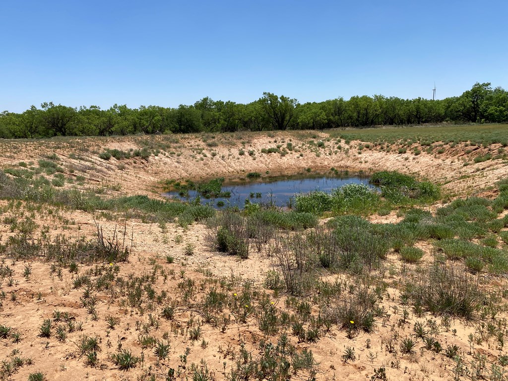 0000 Fm 669, Big Spring, Texas image 12