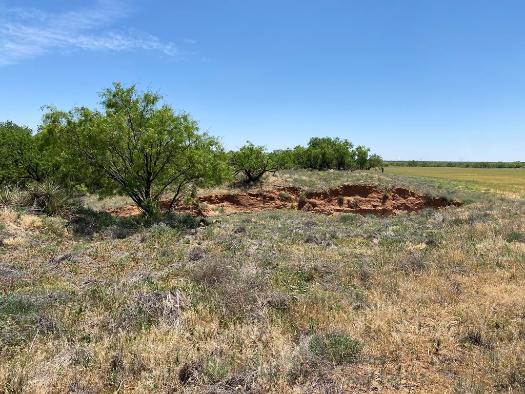 0000 Fm 669, Big Spring, Texas image 4