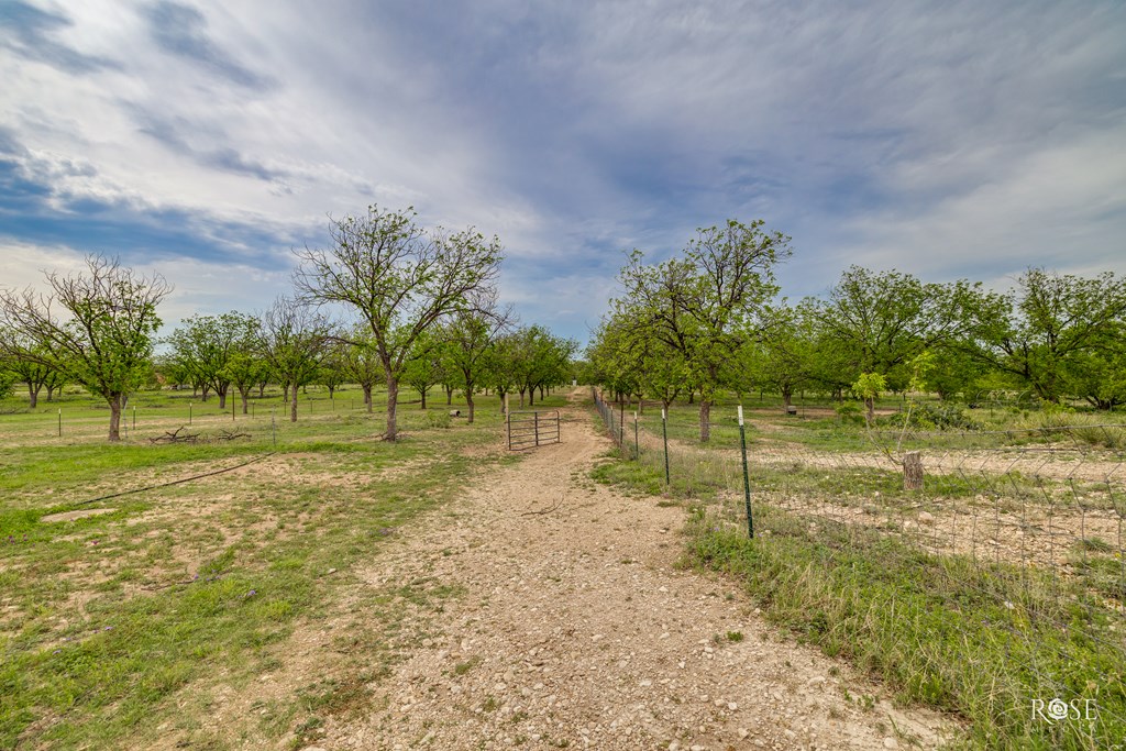 11317 E Dove Creek East Lane, San Angelo, Texas image 47