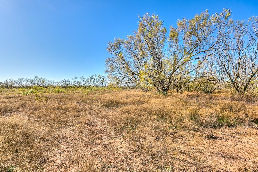 201 County Rd 288, Ballinger, Texas image 34