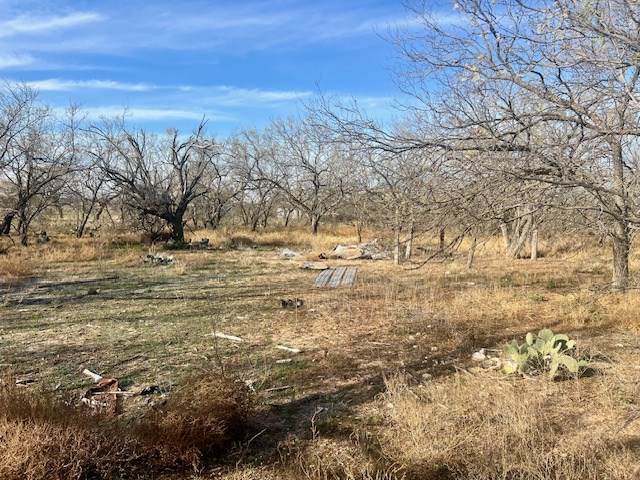 00 Grape Creek Rd, San Angelo, Texas image 5