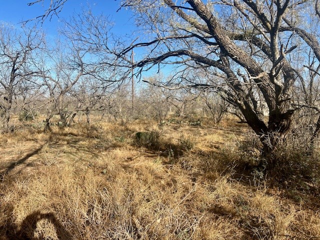 00 Grape Creek Rd, San Angelo, Texas image 6