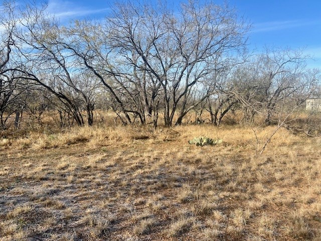 00 Grape Creek Rd, San Angelo, Texas image 3