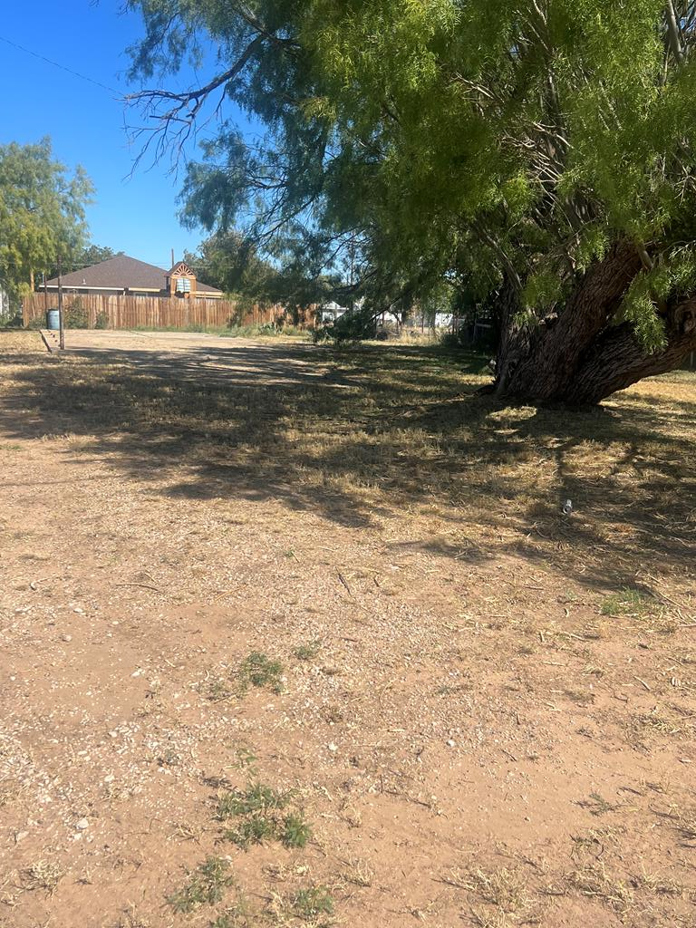 806 W Ave Z #LOT 2 LESS THE S 5FT, San Angelo, Texas image 3