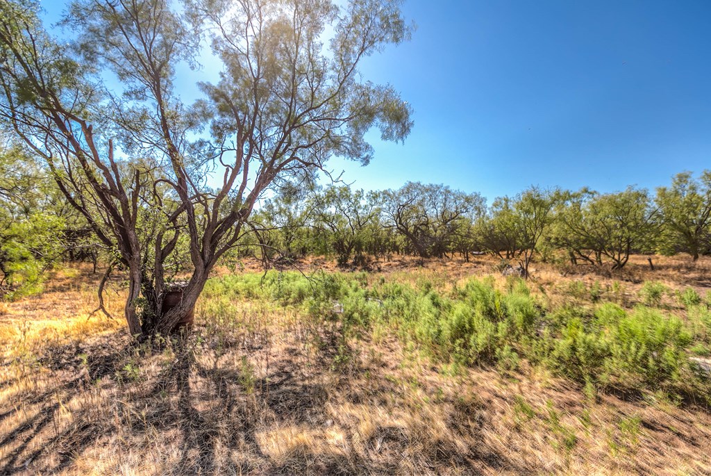 0000 Ranch Rd 1672, Robert Lee, Texas image 23