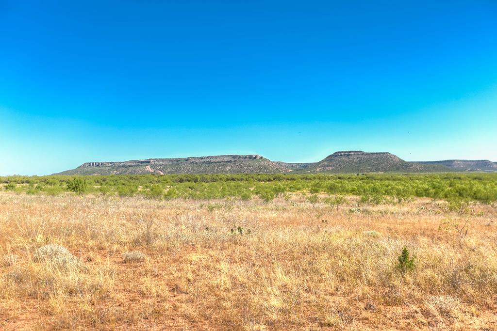 0000 Ranch Rd 1672, Robert Lee, Texas image 1